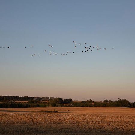 Mitten In Der Natur : Ferienwohnung Mit 3 Schlafzimmern, Neu Eingerichtet Neu Gaarz Luaran gambar