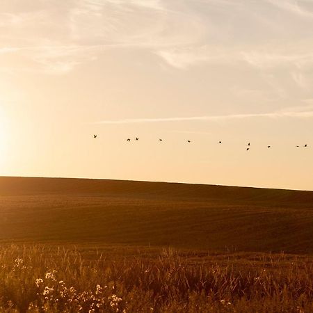 Mitten In Der Natur : Ferienwohnung Mit 3 Schlafzimmern, Neu Eingerichtet Neu Gaarz Luaran gambar