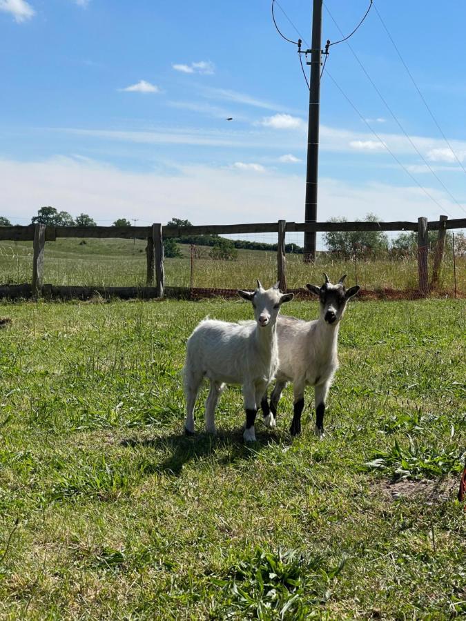 Mitten In Der Natur : Ferienwohnung Mit 3 Schlafzimmern, Neu Eingerichtet Neu Gaarz Luaran gambar
