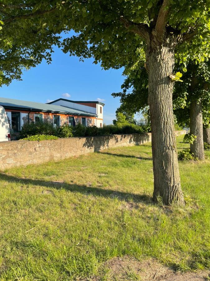 Mitten In Der Natur : Ferienwohnung Mit 3 Schlafzimmern, Neu Eingerichtet Neu Gaarz Luaran gambar